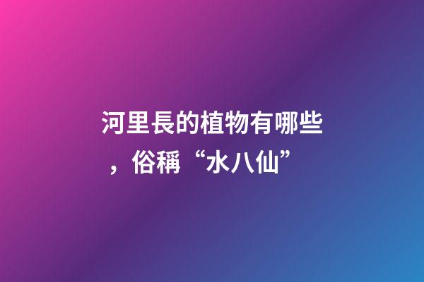 河里長的植物有哪些，俗稱“水八仙”